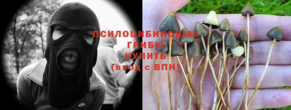 крисы Белокуриха