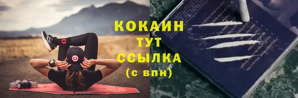 крисы Белокуриха