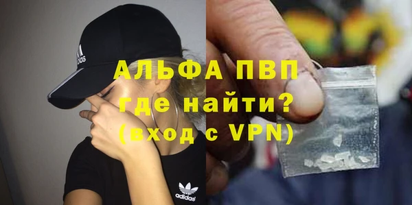 крисы Белокуриха