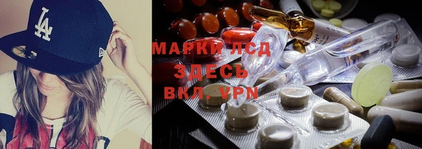 крисы Белокуриха