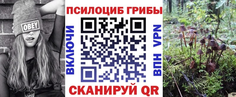 купить закладку Власиха MEGA зеркало Галлюциногенные грибы прущие грибы